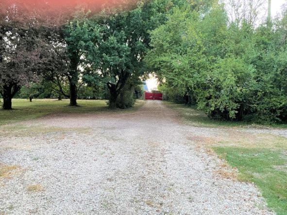La Maison Tournesol - 3 Bedroom House With Large Garden Near Saumur Saint-Martin-de-la-Place Extérieur photo